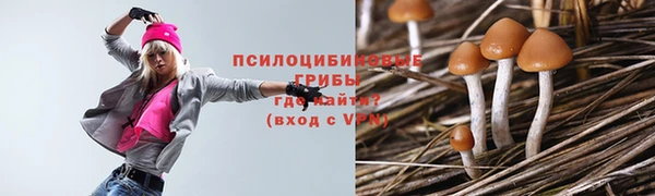 ECSTASY Балахна