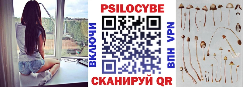 Псилоцибиновые грибы MAGIC MUSHROOMS  площадка формула  Горбатов 
